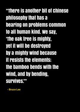 Bruce Lee quotes 