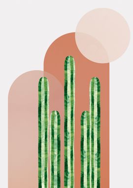 Art of catus