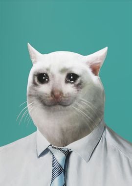 Crying Cat meme