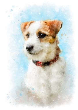 Jack Russell Terrier art