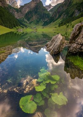 high water at lake