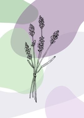 Lavender  Minimalist