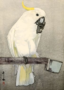 Ukiyo e Zoo Kibatan Parrot