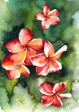 Watercolor plumeria