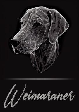 Weimaraner Portrait