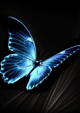 Butterfly Sky Night