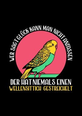 German Budgie