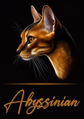 Abyssinian Portrait