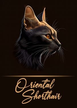 Oriental Shorthair