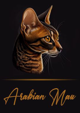 Elegant Arabian Mau