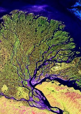 The Lena River