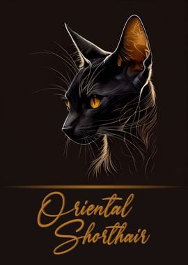 Elegant Oriental Shorthair