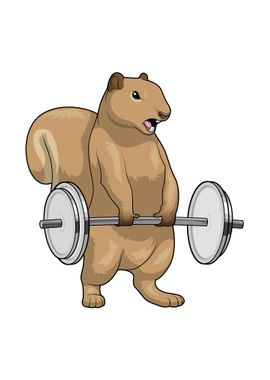 Squirrel Bodybuilding