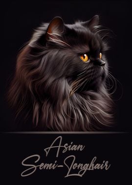 Asian Semi Longhair