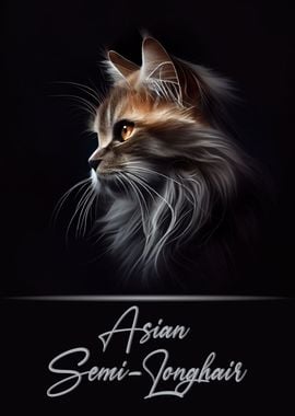 Asian Semi Longhair