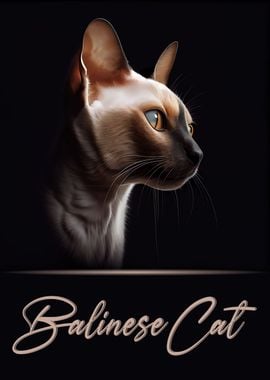 Balinese Cat