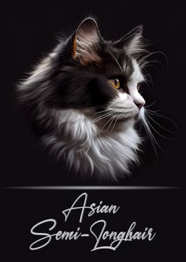 Asian Semi Longhair