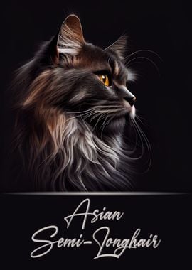 Asian Semi Longhair