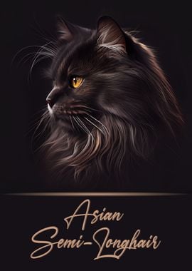 Asian Semi Longhair