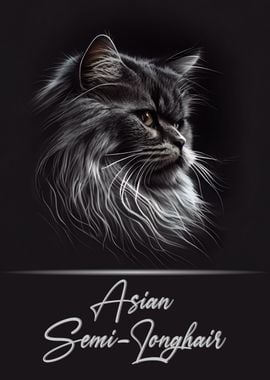 Asian Semi Longhair