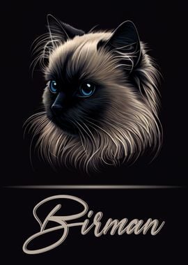 Birman Portrait