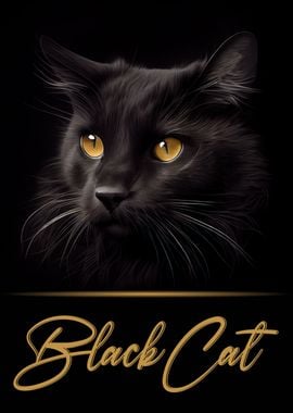 Black Cat