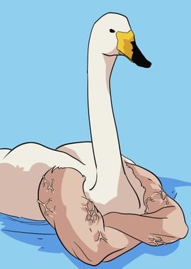 muscular goose