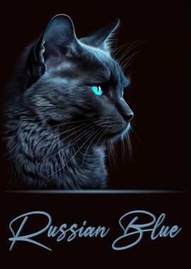 Russian Blue