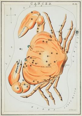 Cancer Zodiac