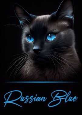 Russian Blue Portrait