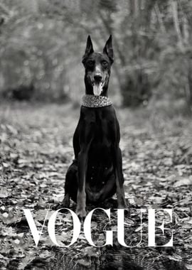 fashion doberman