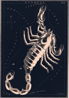 Scorpio astrology zodiac 