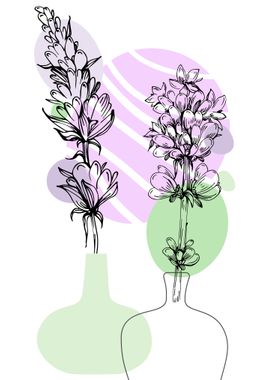 Lavender for Home