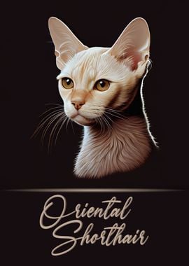 Oriental Shorthair