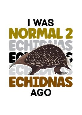 Echidna