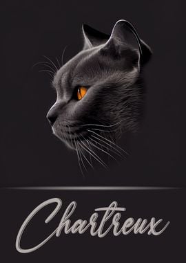 Chartreux