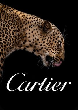 Cartier fashion poster Poster picture metal print paint by