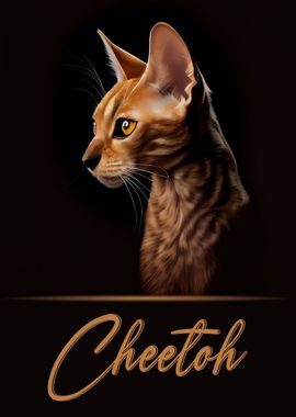 Elegant Cheetoh