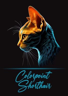 Colorpoint Shorthair