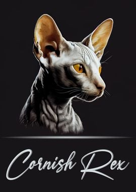 Cornish Rex