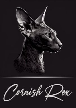 Elegant Cornish Rex