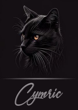 Cymric Cat