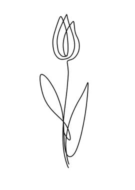 Tulip line art