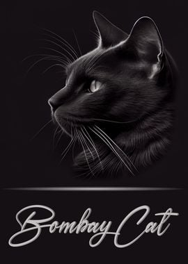 Bombay Cat