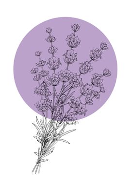 Lavender Line Art Flower