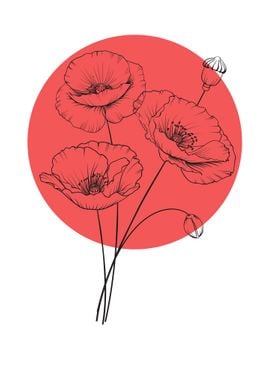 Poppy Line Art Flower