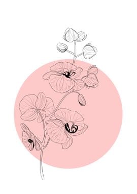 Orchid Line Art Flower