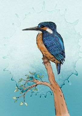 Kingfisher