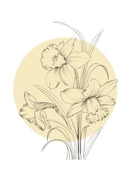 Narcissus Line Art Flower