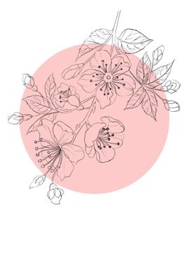 Sakura Line Art Flower